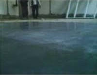 About TRIFLOR DIAMOND HARD(GREEN)